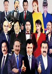 داڭلىق چولپانلار يېغىلىشى海报
