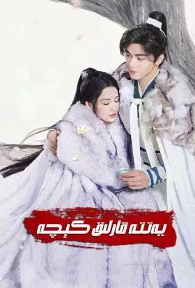 يەتتە قارلىق كېچە海报