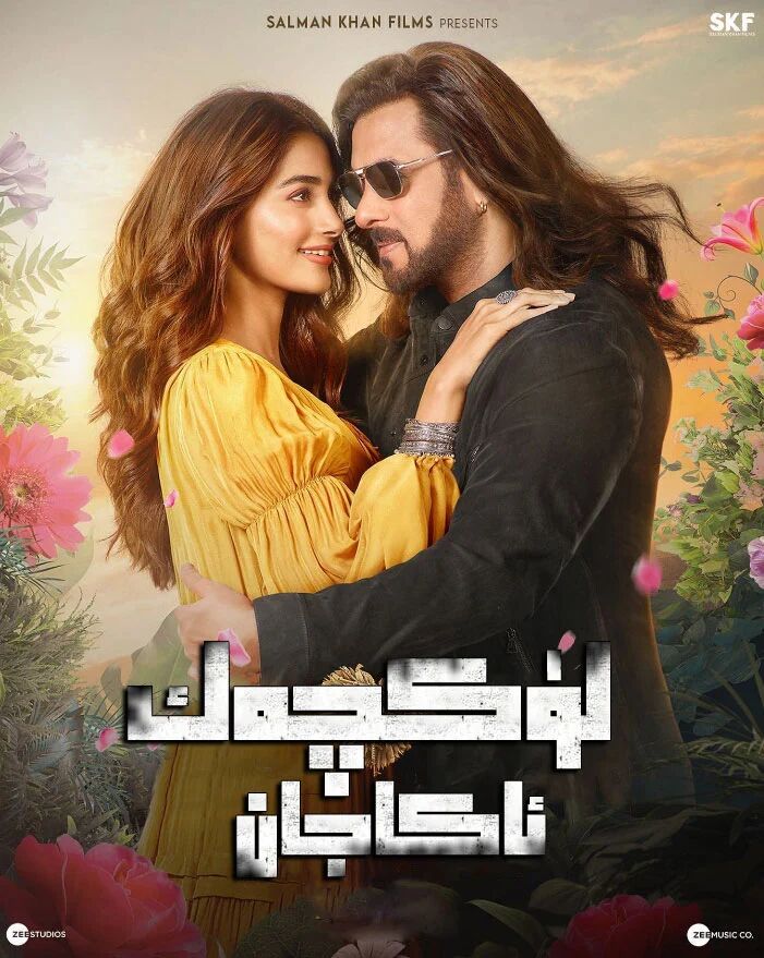 ئاكىجان海报