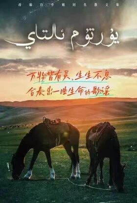 يۇرتۇم ئالتاي海报