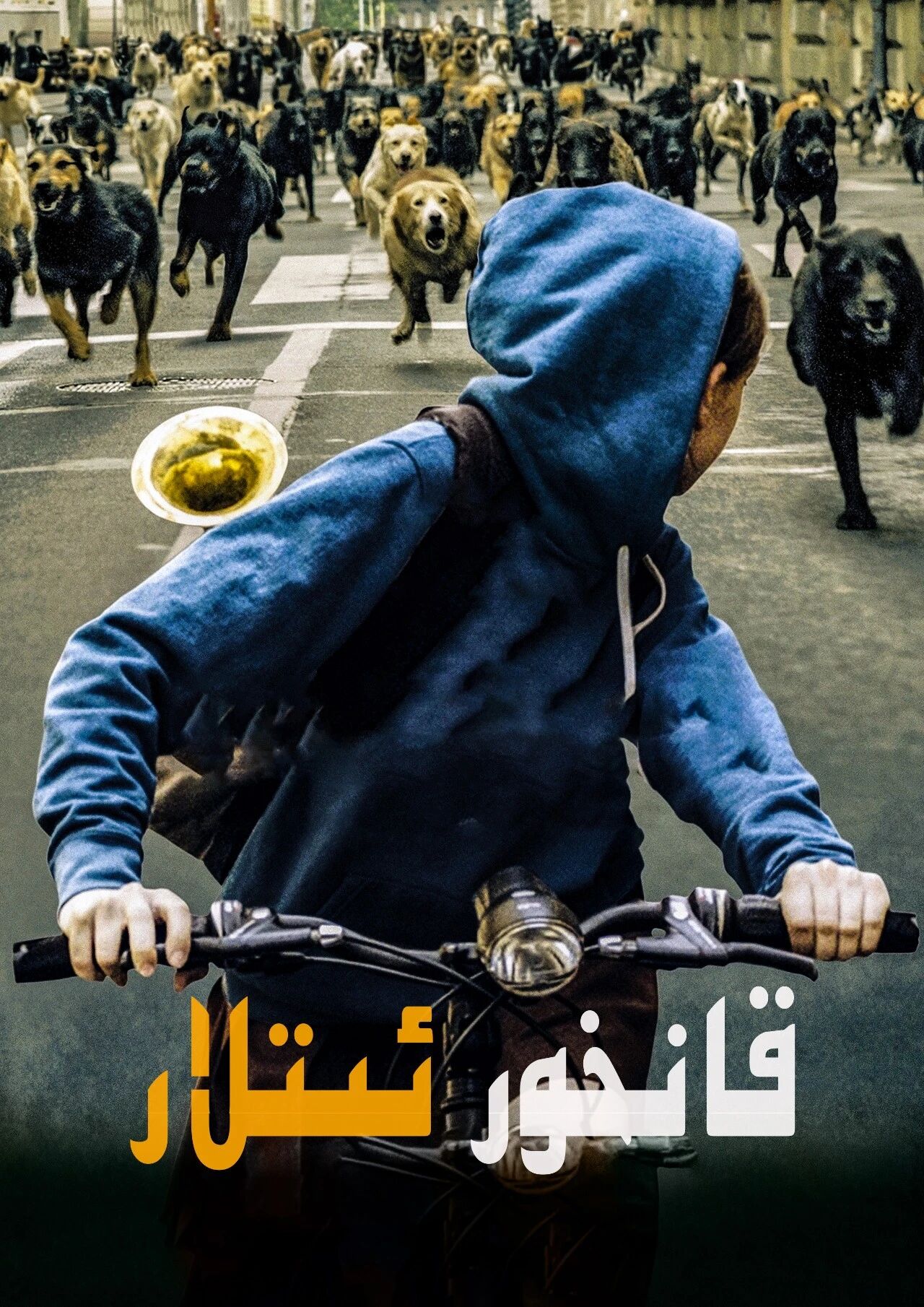 قانخور ئىتلار海报