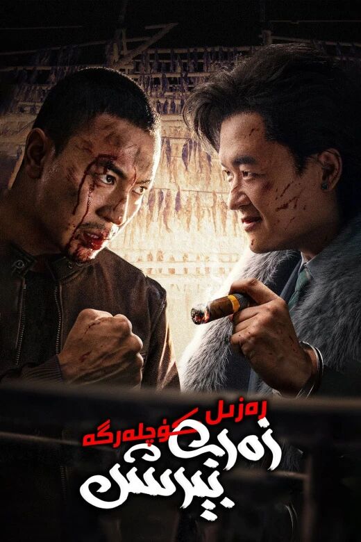 رەزىل كۈچلەرگە زەربە بېرىش海报