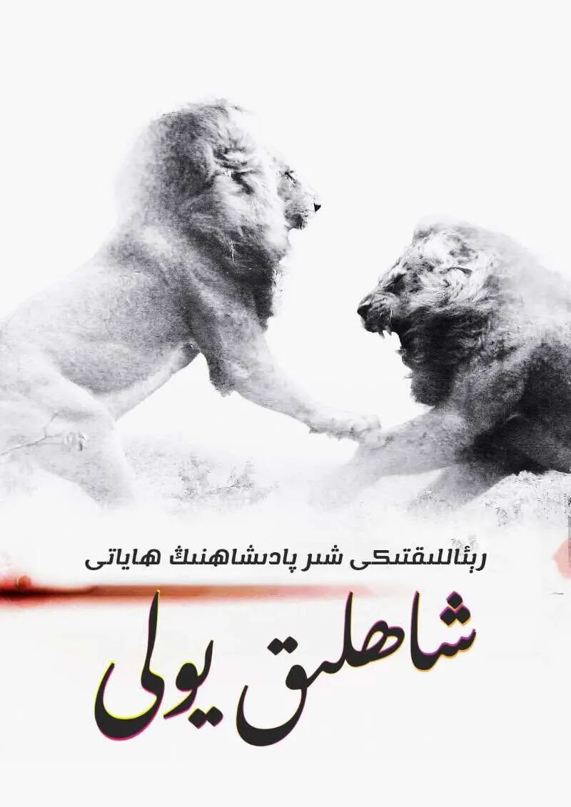 ئادەم ۋە تەبىئەت : شاھلىق يولى海报