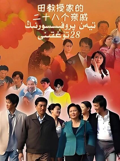 تيەن پروفېسسورنىڭ 28 تۇغقىنى海报