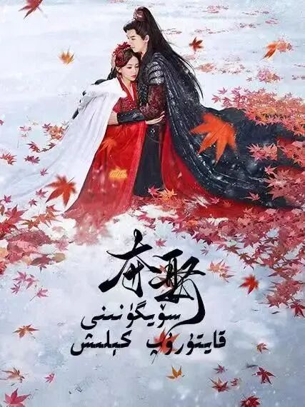 سۆيگىنىنى قايتۇرۇپ كىلىش海报