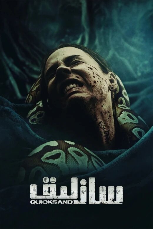 سازلىق海报