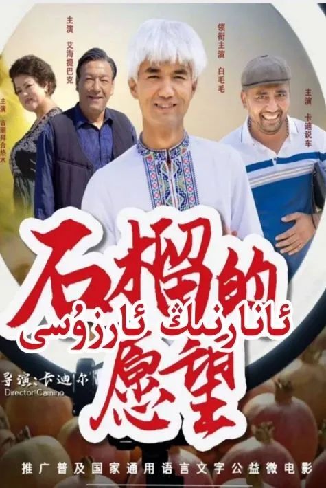 ئانارنىڭ ئارزۇسى海报
