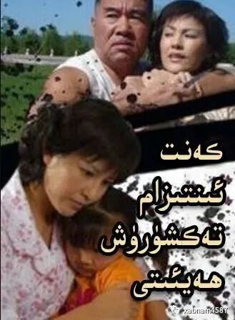 كەنت ئىنتىزام تەكشۈرۈش ھەيئىتى海报