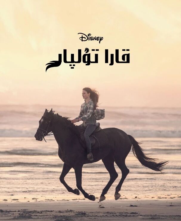 قارا تۇلپار海报