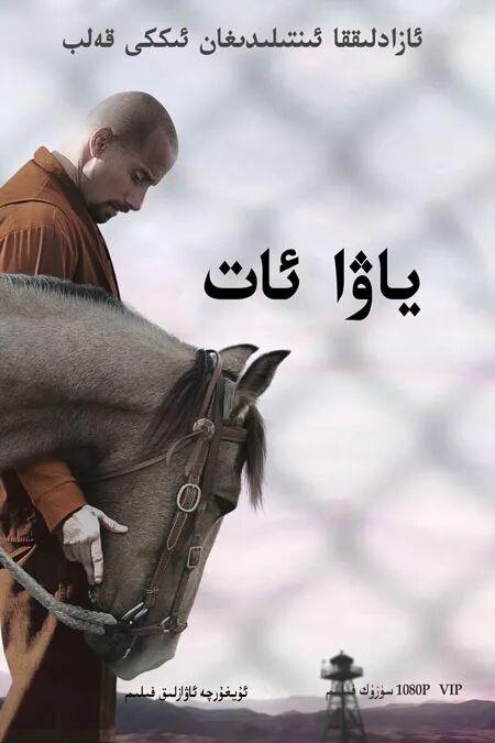 ياۋا ئات海报
