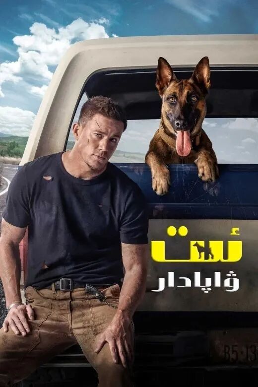 ۋاپادار ئىت海报