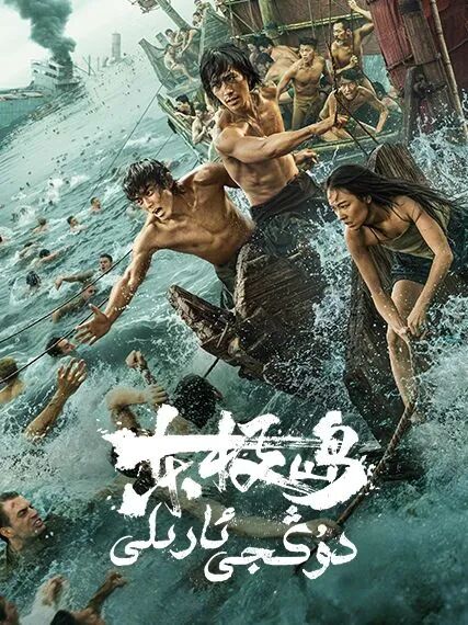 دۇڭجى ئارىلى海报