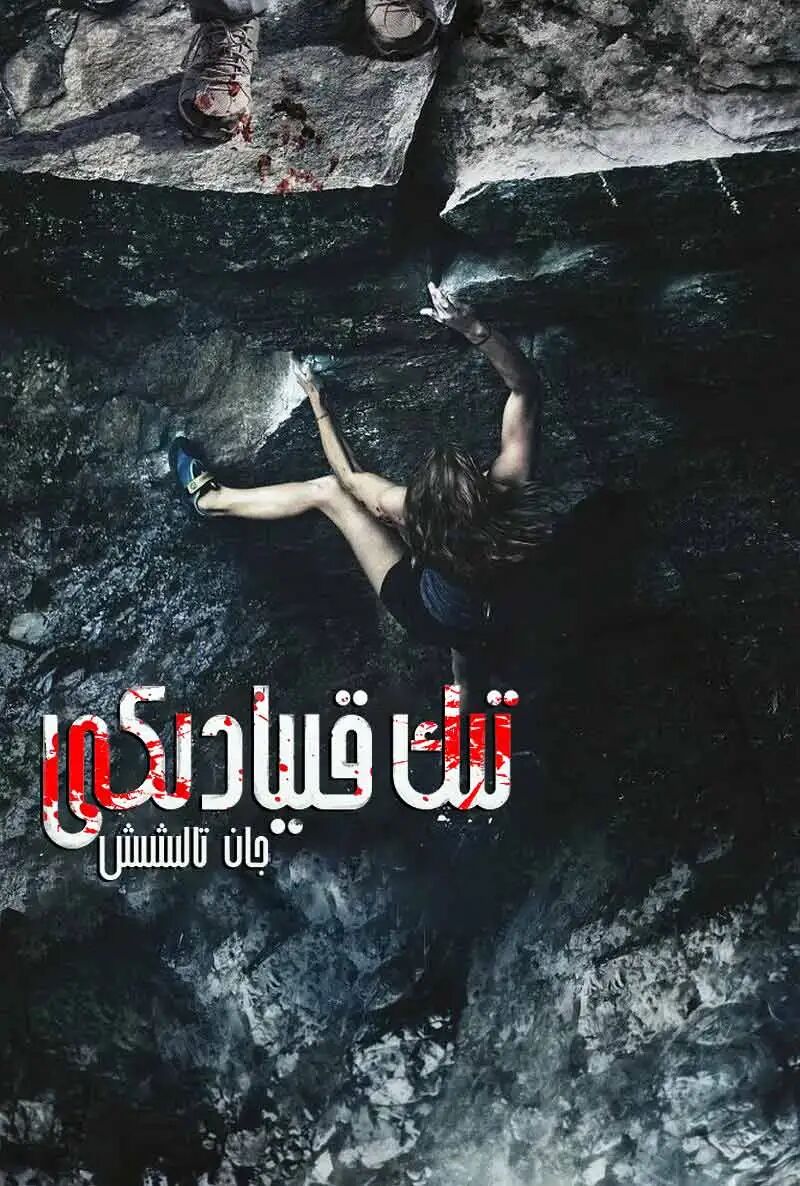 تىك قىيادىكى جان تالىشىش海报