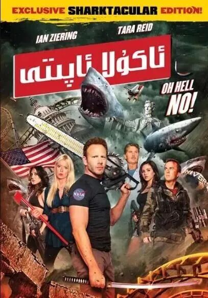 ئاكۇلا ئاپىتى