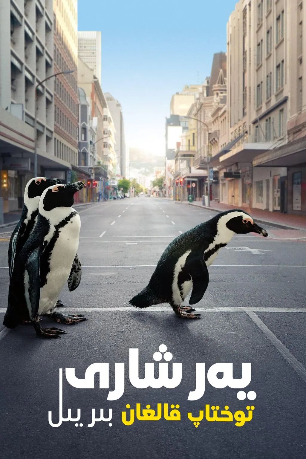 ئادەم ۋە تەبىئەت : يەر شارى توختاپ قا...海报