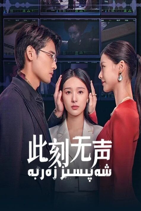 شەپىسىز زەربە海报