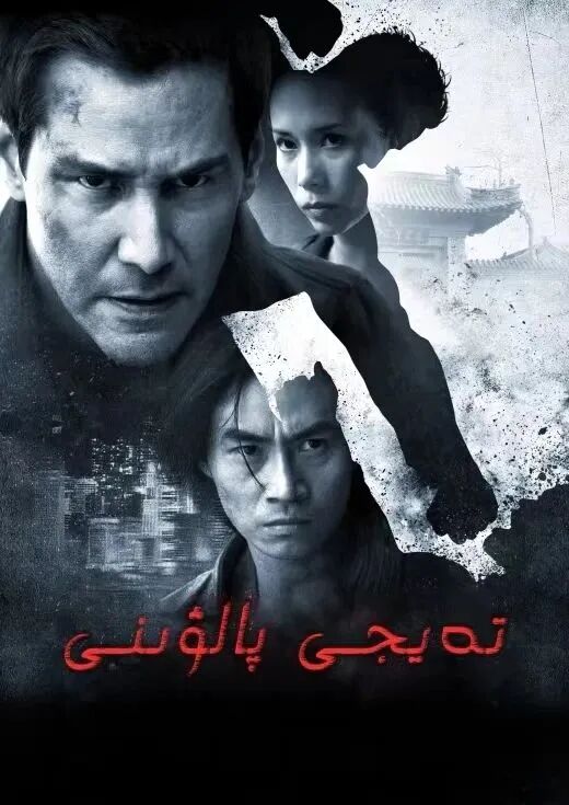 تەيجى پالۋىنى海报