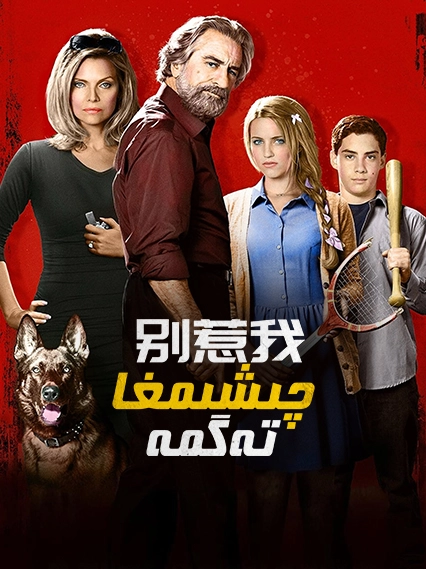 چىشىمغا تەگمە海报