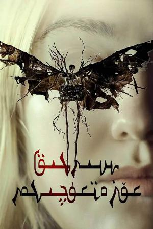 سىرلىق كۆزەتكۈچىلەر海报