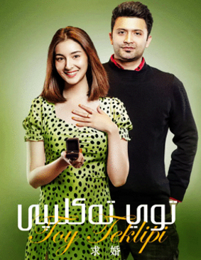 توي تەكلىپى海报