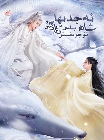 ئەجدىھا شاھ بىلەن ئۇچرىشىش海报