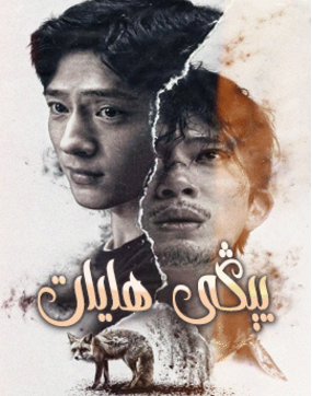 يېڭى ھايات海报