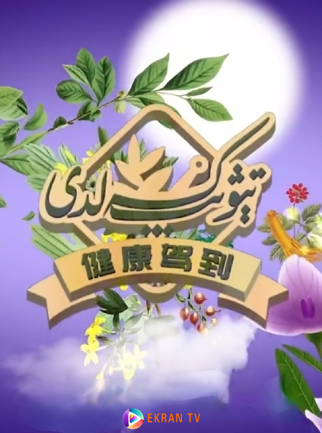 تىۋىپ كەلدى海报
