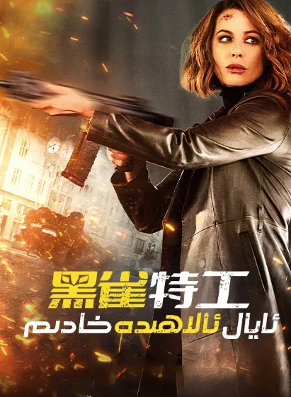 ئايال ئالاھىدە خادىم海报