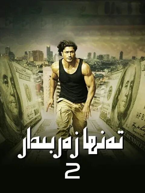 تەنھا زەربىدار 2-بۆلۈم海报