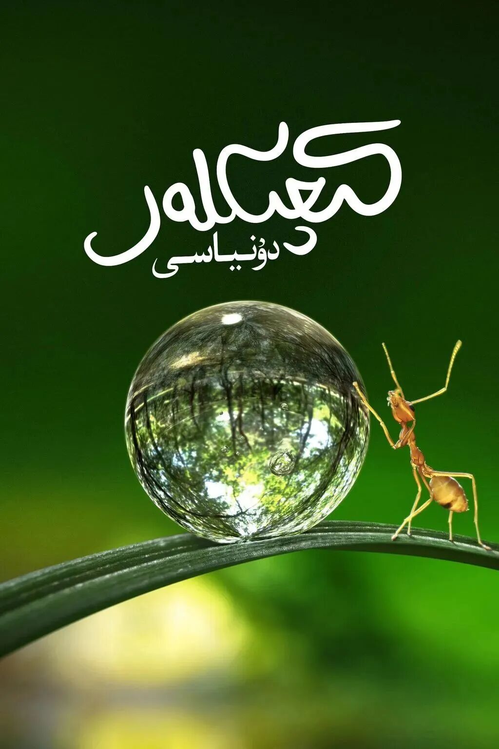 كىچىكلەر دۇنياسى海报