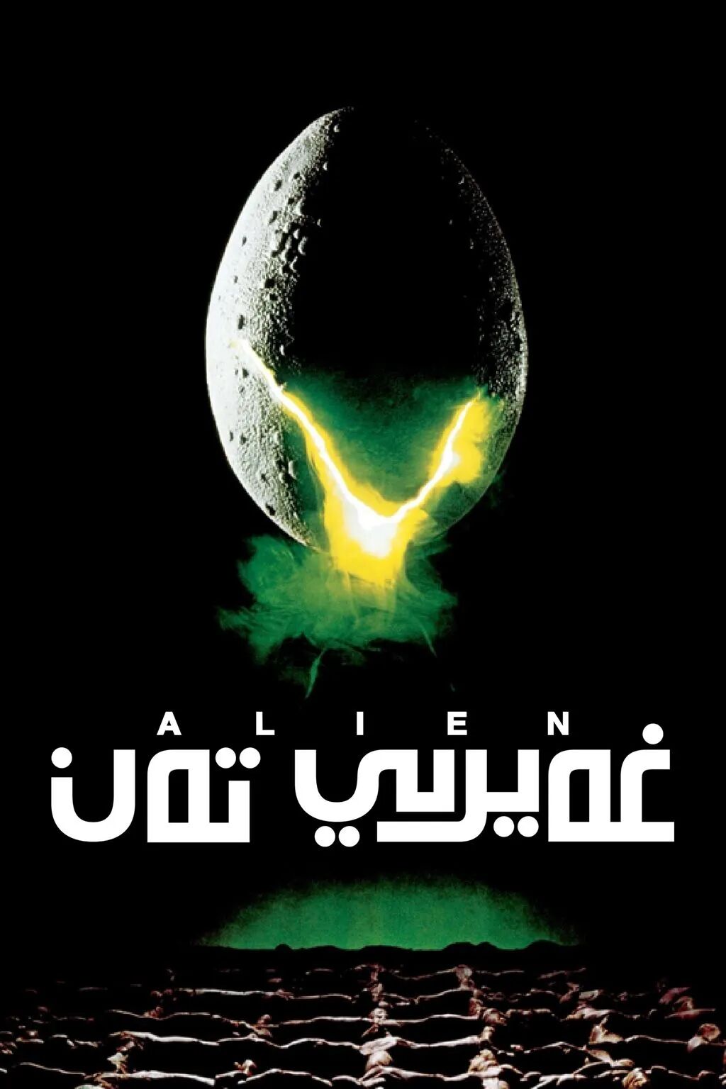 غەيرى تەن 1-بۆلۈم海报