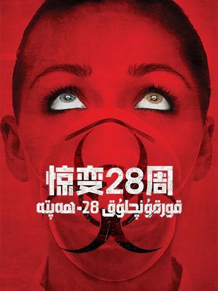28 ھەپتىدىن كېيىن海报