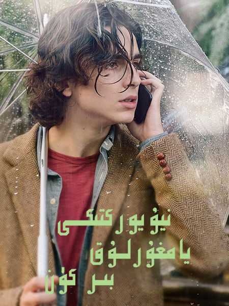 نيۇيوركتىكى يامغۇرلۇق بىر كۈن海报